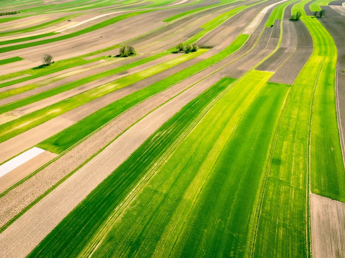 Agriculture recruitment South America plantation and farming operations