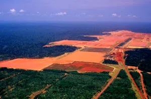Mining Investments trends in Brazil and impact on recruitment of mining professionals and availability of Brazil Mining Job|Mining Investments trends in Brazil and impact on recruitment of mining professionals and availability of Brazil Mining Jobs