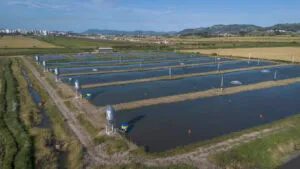 Aquaculture Jobs in South America and the Caribbean recruitment:|Aquaculture Jobs in South America and the Caribbean recruitment: